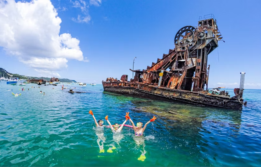 Moreton Bay Marine Park snorkeling tour with transfer from Brisbane